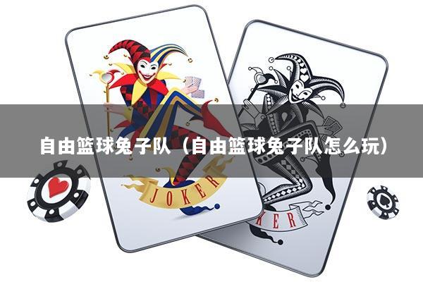 自由篮球兔子队（自由篮球兔子队怎么玩）