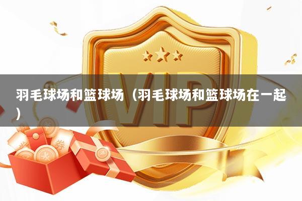 羽毛球场和篮球场（羽毛球场和篮球场在一起）