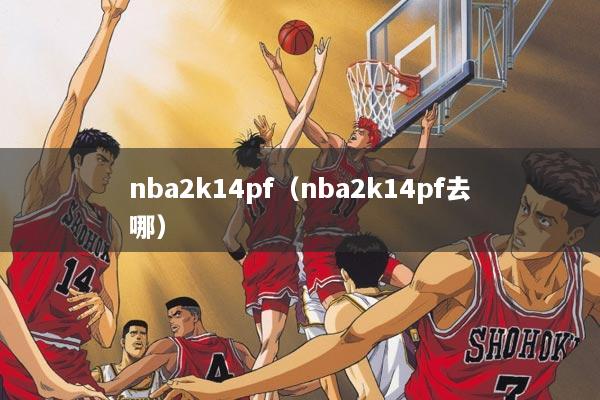 nba2k14pf（nba2k14pf去哪）