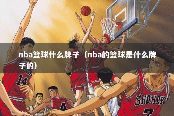 nba篮球什么牌子（nba的篮球是什么牌子的）